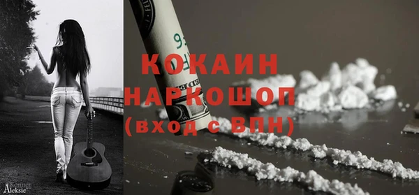 ECSTASY Алзамай