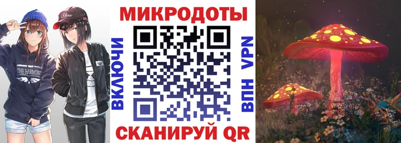 Псилоцибиновые грибы Psilocybine cubensis  наркота  Козловка 